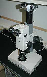 Photo of Olympus SZH-10 dissection microscope with Nikon FG film camera