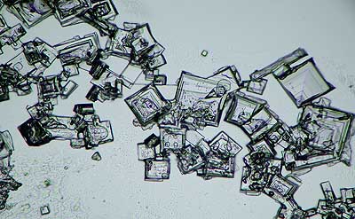50 kb JPG microphoto of a precipitation crystal by Doug Craft