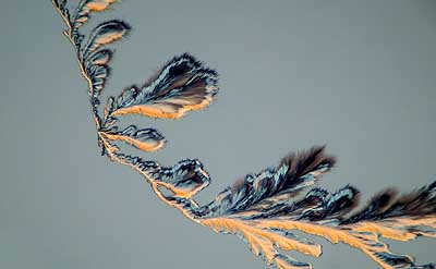 50 kb JPG microphoto of a precipitation crystal by Doug Craft