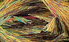 25-30 kb thumbnail JPG image of microphotograph by Doug Craft - links to larger image in right frame