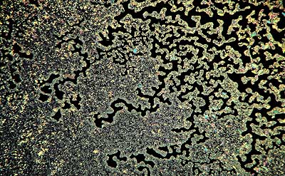 50 kb JPG microphoto of a micro texture by Doug Craft