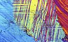 25-30 kb thumbnail JPG image of microphotograph by Doug Craft - links to larger image in right frame