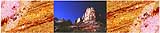 25-30 kb thumbnail JPG image of photomontage by Doug Craft - links to larger image of Utah Wide Number 2 in right frame