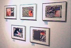JPG image of art exhibition by Doug Craft